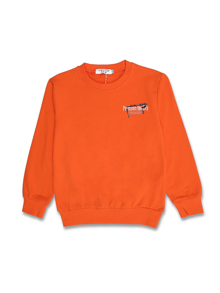 Imp Boys Crew Neck T-Shirts L/S With Warning Print #A8642 (W-20)